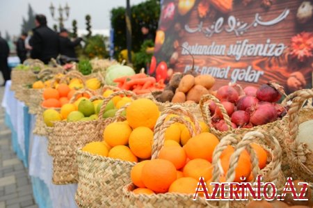 İlk dəfə Lənkəranda çay, çəltik və sitrus festivalı keçirildi