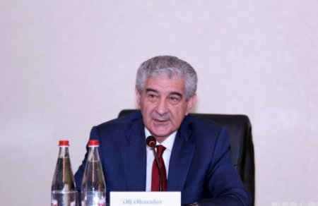 "Əli İnsanov erməni diasporuna arxalanır" - Baş nazirin müavini
