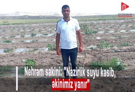 Babək rayonunda fermerlər DAD DEYİR - "Nazirlik bir həftədir ki, suyu bağlayıb..."