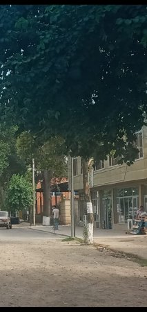 Cəlilabad rayonunda "Hacı market"in önündə qeyri-qanuni olaraq  3 ədəd 40 sm diametrində  yaş ağac kəsilmiş və izi itirmək üçün isə üzərlərinə  asfalt örtüyü çəkilmişdir